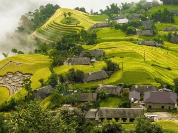 Trekking tours: Ha Giang,  Hoang Su phi