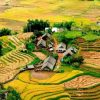 Trekking tours Sapa5