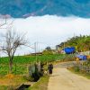 Trekking tours Sapa2